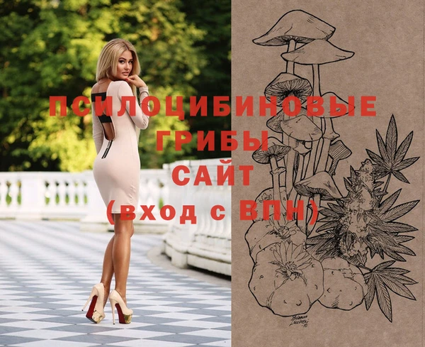 индика Карталы