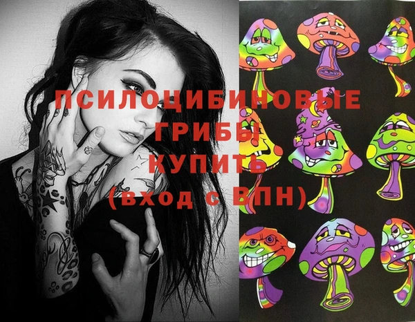 спайс Карпинск