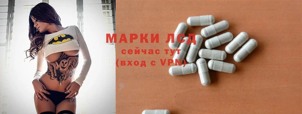 индика Карталы