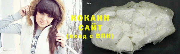 индика Карталы