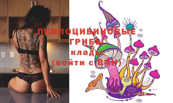 гидропоника Касимов