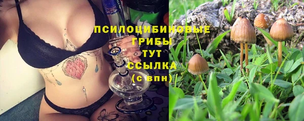 спайс Карпинск