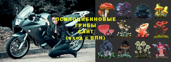 спайс Карпинск