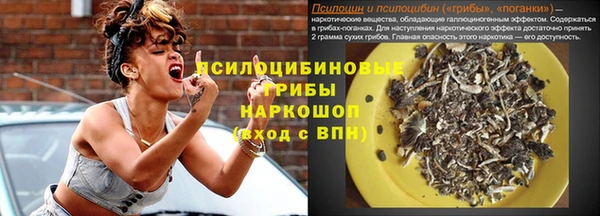 индика Карталы