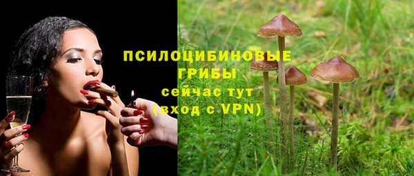 спайс Карпинск