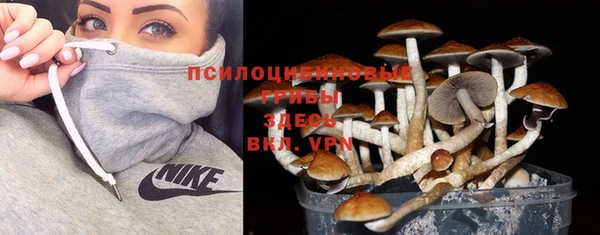 индика Карталы